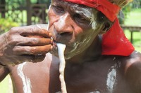 Festival Suku Kamoro di Timika, Papua tidak hanya menawarkan makanan unik berupa ulat sagu. Mereka juga menawarkan cacing tambelo yang dimakan mentah. Rasanya geli, tapi enak (Fitraya/detikTravel)