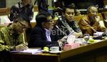 Mendag-Komisi VI Bahas Harga Bawang Putih