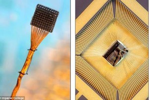 Lapar Melulu? Ambil Mikrochip Ini & Tanamlah di Perut