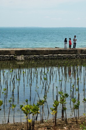Exploration Untung Jawa, Rambut & Pari Island