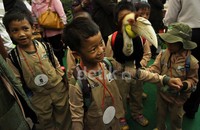 Burung-burung ini dihadirkan oleh stand Taman Burung TMII. Sejumlah anak Sekolah Dasar tampak mengunjungi stand tersebut.