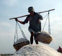 Ini 5 Komoditas Impor Terbesar RI