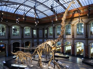 10 Museum Dinosaurus Paling Keren di Dunia