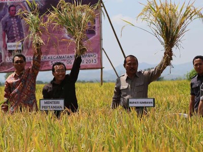 Mentan Panen Raya