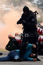 Meriahnya HUT ke-67 TNI AU