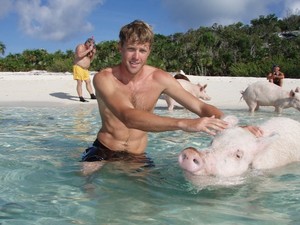 Lucunya! Ada Babi-babi Jago Berenang di Perairan Bahama