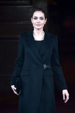 Perjuangan Angelina Jolie Menegakkan HAM