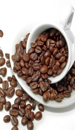 Asal Muasal Kopi Arabica dan Robusta Ditanam di Indonesia
