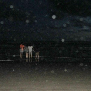 Orbs Bukan Penampakan Hantu! Ini Penjelasan Teknisnya
