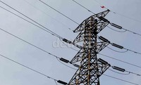 Ia membentangkan spanduk tuntutan di ketinggian 5 meter, sementara Fransiskus naik hingga puncak tower setinggi 50 meter.