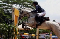 Sebanyak 97 atlet pelatnas berkuda dengan 113 kuda menunjukkan kemampuannya pada seleksi kualifikasi kedua Sea Games 2013 cabang equestrian.