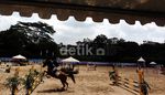97 Atlet Berkuda Unjuk Kemampuan