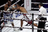 Ini menjadi kekalahan TKO pertama Daud sepanjang karier tinju profesionalnya. Petinju asal Kalimatan Barat itupun harus melepas gelar juara dunia kelas bulu IBO yang didapatnya usai mengalahkan Frankie Archuleta pada 2011 lalu.