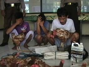 Satu Keluarga Nekat Jadi Pencuri Ayam karena Himpitan Ekonomi