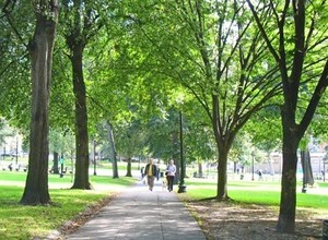Boston, Kota Cantik yang Dikoyak Ledakan Bom