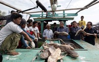 Presiden SBY meninjau hasil tangkapan nelayan. Abror Rizki/Setpres.
