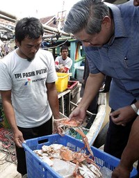 Presiden SBY melihat hasil tangkapan salah satu nelayan. Abror Rizki/Setpres.
