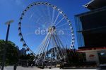 Menikmati Kota Brisbane