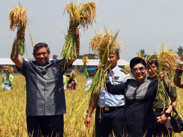 SBY Panen Raya di Karawang