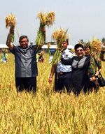 SBY Panen Raya di Karawang