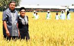 SBY Panen Raya di Karawang