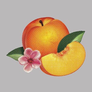 Jelang Rilis, Phoenix Streaming Keseluruhan Lagu di Album Bankrupt!