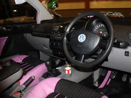 VW Beetle Pink Nan Genit