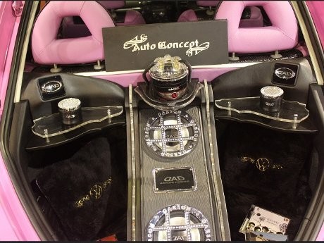 VW Beetle Pink Nan Genit