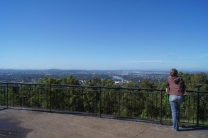 Ada Kadal Berlidah Pink di Mount Coo-tha, Brisbane