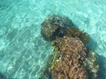 Beningnya Perairan Raja Ampat, Mana Tahan!