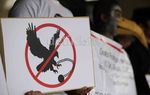 Para Elang Berdemo di Kemenhut