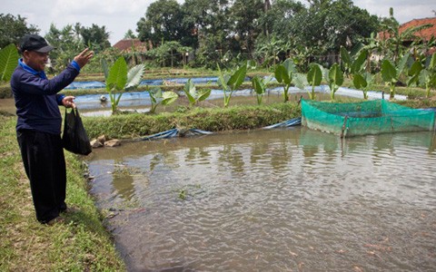 Tetap Produktif dan Sejahtera di Masa Pensiun