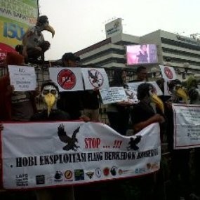Elang Minta Stop Ekpolitasi Hewan Satwa Atas Nama Konservasi