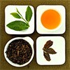 Teh Oolong, Sumber Antioksidan Untuk Mencegah Penuaan Dini