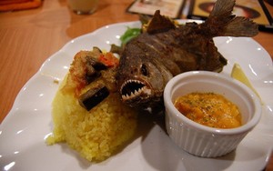 Mau Makan Piranha Goreng? Mampirlah ke Resto Jepang Ini!