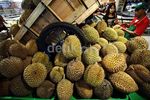 Permintaan Buah dan Sayur Lokal Meningkat