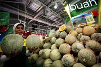 Pasokan ketersediaan produk segar hortikultura di Carrefour mengalami peningkatan hingga 10% semenjak Permentan dilakukan awal Januari 2013. Carrefour saat ini tidak memberikan proteksi kepada produk hortikultura impor.