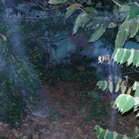 Ini Dia Risiko Hobi Berburu Foto Penampakan Hantu