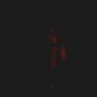 Tiga Fenomena yang Terekam Penghobi Foto Penampakan Hantu