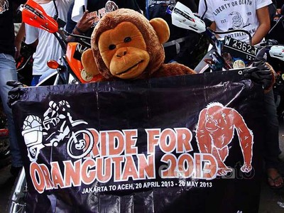 Kampanye Ride for Orangutan 2013