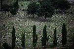 Ketersediaan Lahan Pemakaman di Jakarta