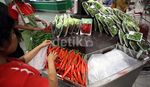 Kebutuhan Cabai Indonesia Kembali Aman