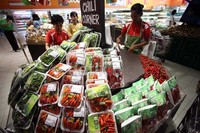 Menurut Peneliti Pusat Kajian Hortikultura Tropika Institut Pertanian Bogor Dr M Syukur SP MSi produksi cabai di Indonesia masih mencukupi.