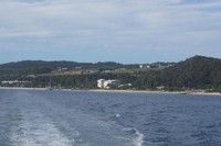 Pulau Tangalooma adalah salah satu destinasi wisata di negara bagian Queensland, Australia. Selain bisa memberi makan lumba-lumba liar, Pulau Tangalooma ternyata punya misteri yang menarik untuk ditelusuri (Gagah/detikTravel)