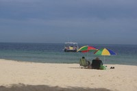 Pasir putih kekuningan yang lembut, lingkungan yang bersih lengkap dengan hamparan rumput beserta nyiur melambai, dan kehidupan satwa liar yang terpelihara, membuat pulau seluas 37x10 km ini eksotis (Gagah/detikTravel)