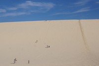 Yang tidak boleh dilewatkan adalah sand boarding. Bermodal sebilah papan kayu, kita akan meluncur turun dengan cepat dalam posisi tengkurap dari gunungan pasir setinggi kurang lebih 100-200 meter. Seru! Dan pastinya badan kita akan penuh dengan pasir (Gagah/detikTravel)