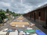 Rumah Dayak Panjangnya 180 Meter, Seperti Apa Isinya?