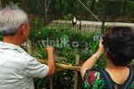 Mengunjungi Penangkaran Elang Bondol di Pulau Kotok