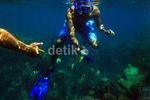 Mengintip Keindahan Bawah Laut Pulau Harapan