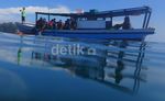 Mengintip Keindahan Bawah Laut Pulau Harapan